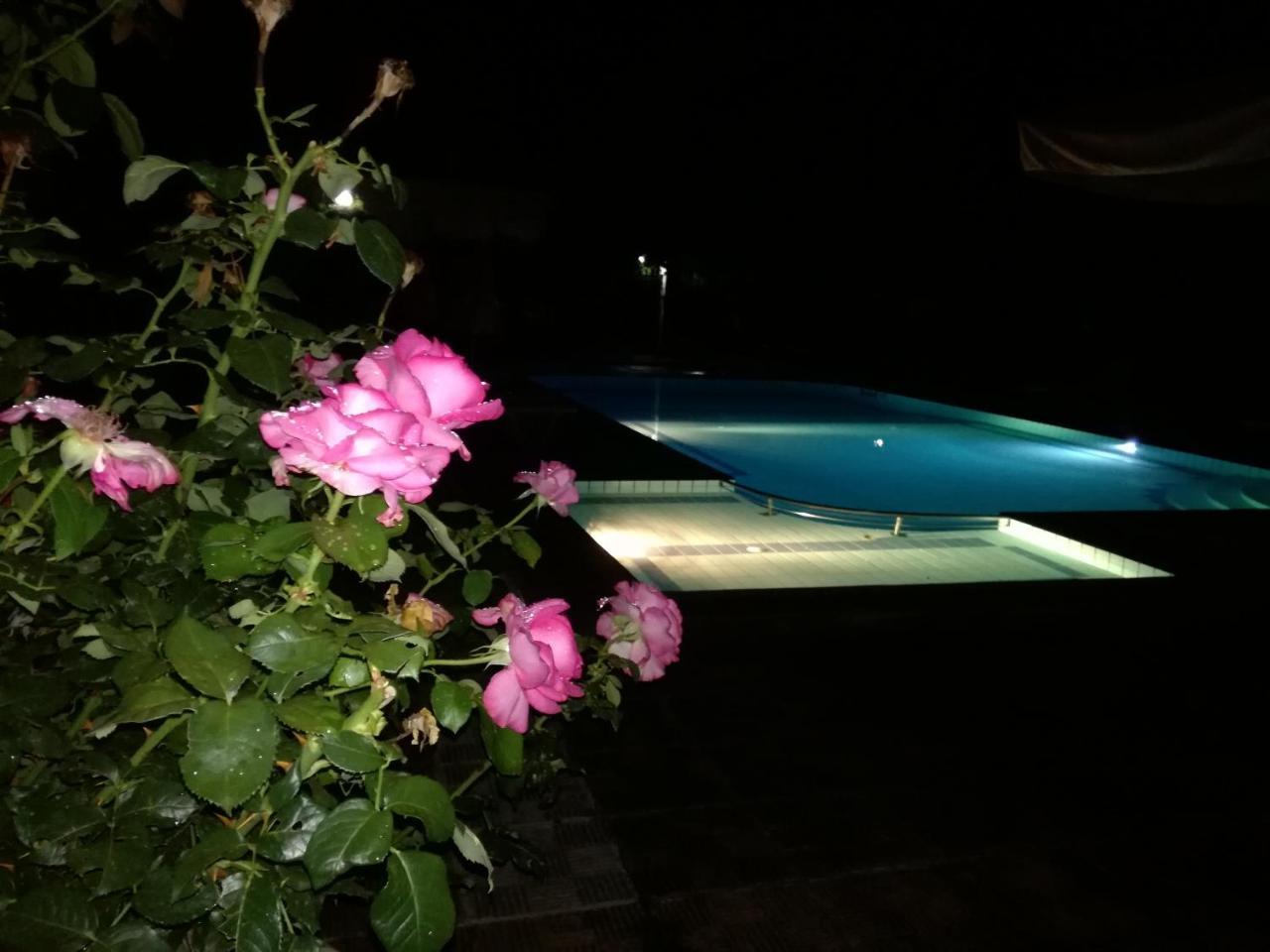 Prespa Resort & Spa Platy  Extérieur photo